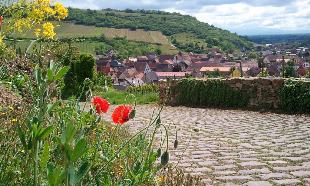 Logis Du Cheval Blanc Hotel Westhalten ภายนอก รูปภาพ